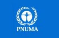 PNUMA.JPG